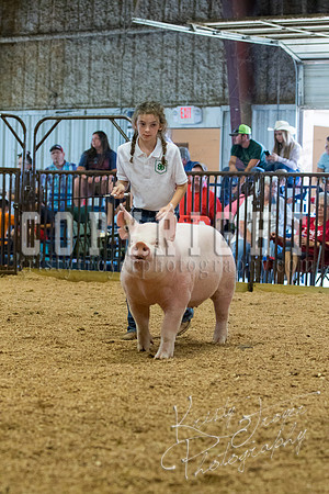 MAYES_COUNTY_FAIR_SWINE_©KTROYER-9653