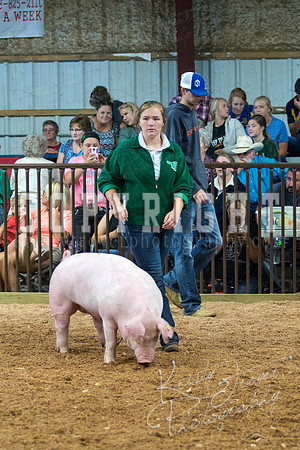 MAYES_COUNTY_FAIR_SWINE_©KTROYER-9447