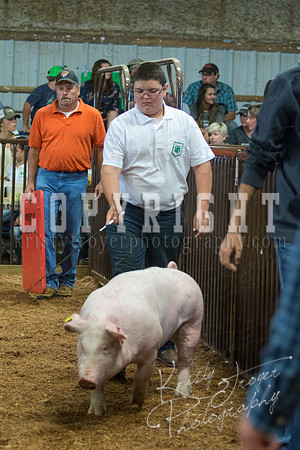 MAYES_COUNTY_FAIR_SWINE_©KTROYER-9457