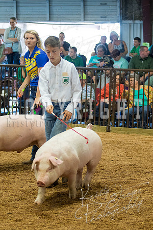 MAYES_COUNTY_FAIR_SWINE_©KTROYER-9458