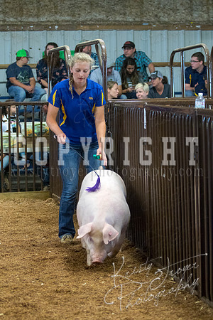 MAYES_COUNTY_FAIR_SWINE_©KTROYER-9461