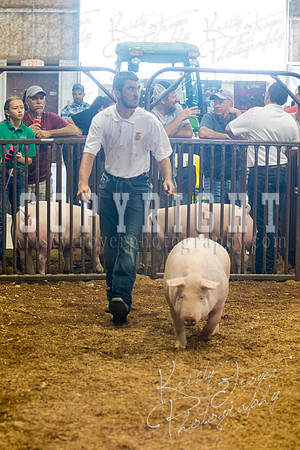 MAYES_COUNTY_FAIR_SWINE_©KTROYER-9469