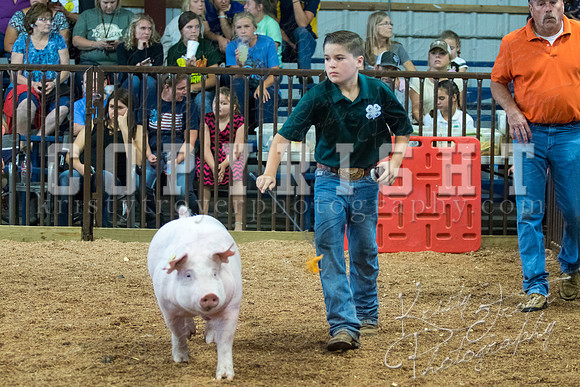 MAYES_COUNTY_FAIR_SWINE_©KTROYER-9470