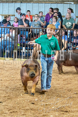 MAYES_COUNTY_FAIR_SWINE_©KTROYER-9473