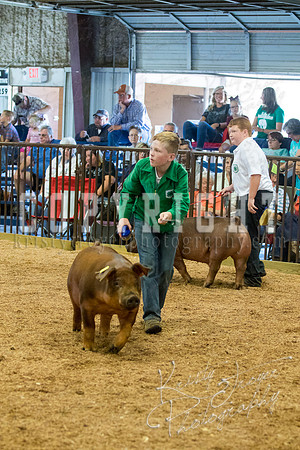 MAYES_COUNTY_FAIR_SWINE_©KTROYER-9502