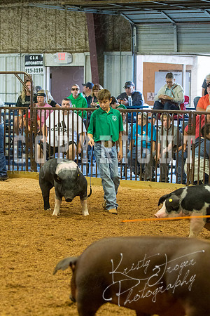 MAYES_COUNTY_FAIR_SWINE_©KTROYER-9354