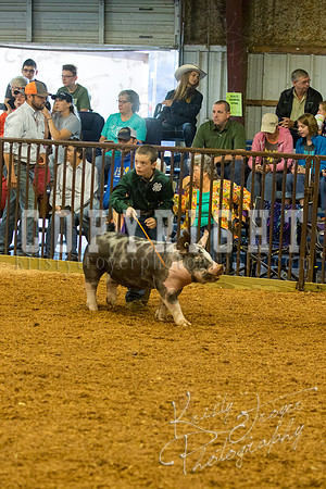 MAYES_COUNTY_FAIR_SWINE_©KTROYER-9355