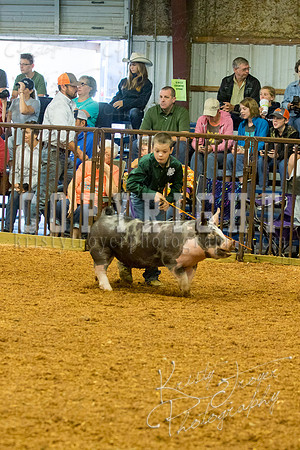 MAYES_COUNTY_FAIR_SWINE_©KTROYER-9356