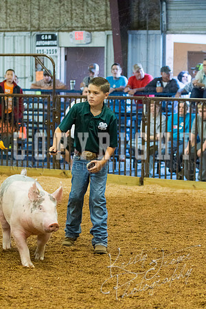 MAYES_COUNTY_FAIR_SWINE_©KTROYER-9357