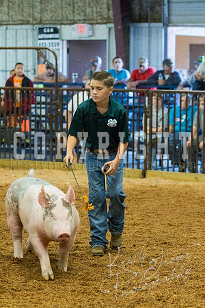 MAYES_COUNTY_FAIR_SWINE_©KTROYER-9358