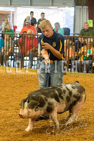 MAYES_COUNTY_FAIR_SWINE_©KTROYER-9363