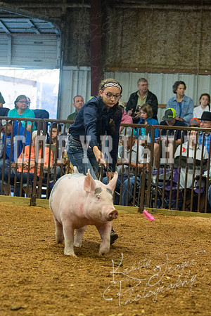 MAYES_COUNTY_FAIR_SWINE_©KTROYER-9366
