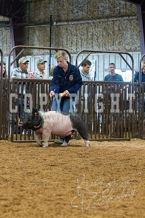 MAYES_COUNTY_FAIR_SWINE_©KTROYER-9368