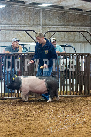 MAYES_COUNTY_FAIR_SWINE_©KTROYER-9369