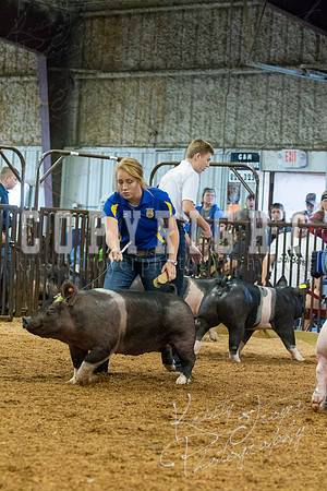 MAYES_COUNTY_FAIR_SWINE_©KTROYER-9370