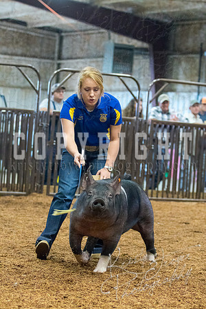 MAYES_COUNTY_FAIR_SWINE_©KTROYER-9372