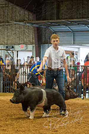 MAYES_COUNTY_FAIR_SWINE_©KTROYER-9373
