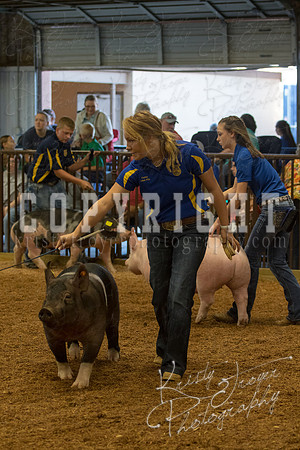 MAYES_COUNTY_FAIR_SWINE_©KTROYER-9377