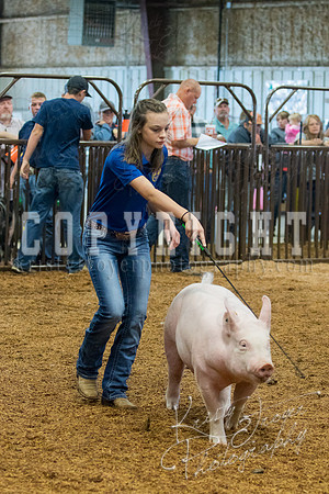 MAYES_COUNTY_FAIR_SWINE_©KTROYER-9380