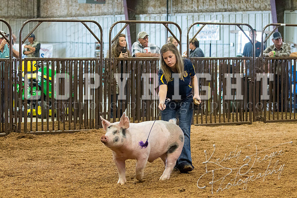 MAYES_COUNTY_FAIR_SWINE_©KTROYER-9381