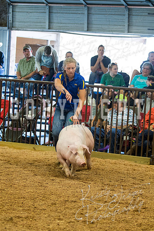 MAYES_COUNTY_FAIR_SWINE_©KTROYER-9459