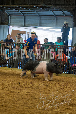 MAYES_COUNTY_FAIR_SWINE_©KTROYER-9388