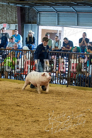 MAYES_COUNTY_FAIR_SWINE_©KTROYER-9462