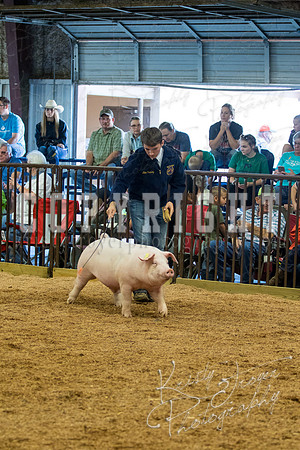 MAYES_COUNTY_FAIR_SWINE_©KTROYER-9463