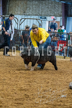MAYES_COUNTY_FAIR_SWINE_©KTROYER-9390