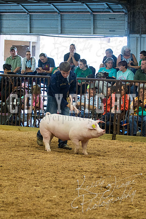 MAYES_COUNTY_FAIR_SWINE_©KTROYER-9464