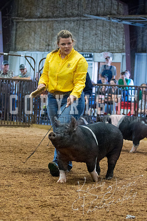 MAYES_COUNTY_FAIR_SWINE_©KTROYER-9392