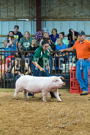 MAYES_COUNTY_FAIR_SWINE_©KTROYER-9466