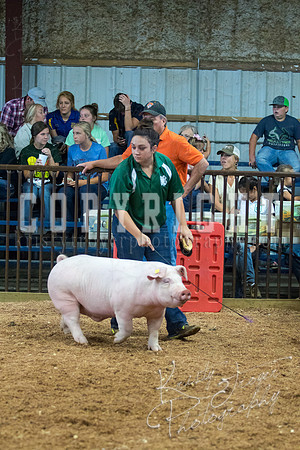 MAYES_COUNTY_FAIR_SWINE_©KTROYER-9467