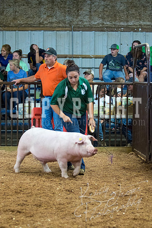 MAYES_COUNTY_FAIR_SWINE_©KTROYER-9468