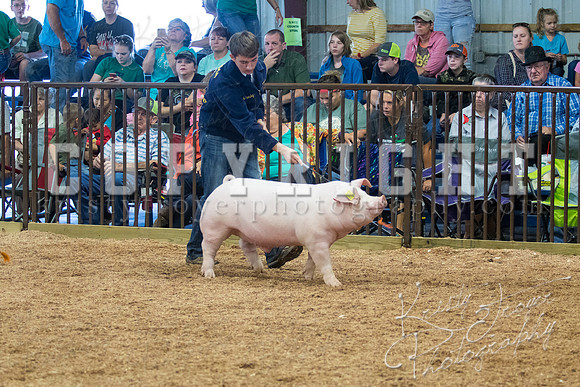 MAYES_COUNTY_FAIR_SWINE_©KTROYER-9471