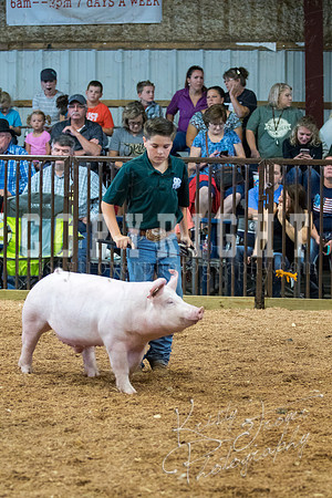 MAYES_COUNTY_FAIR_SWINE_©KTROYER-9472