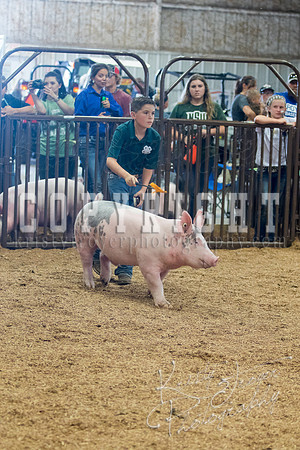 MAYES_COUNTY_FAIR_SWINE_©KTROYER-9709