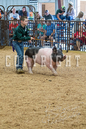 MAYES_COUNTY_FAIR_SWINE_©KTROYER-9713