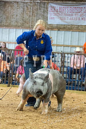 MAYES_COUNTY_FAIR_SWINE_©KTROYER-9721