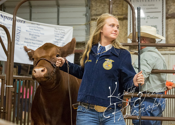 MAYES_COUNTY_FAIR_PREMIUM_SALE_©KTROYER-94