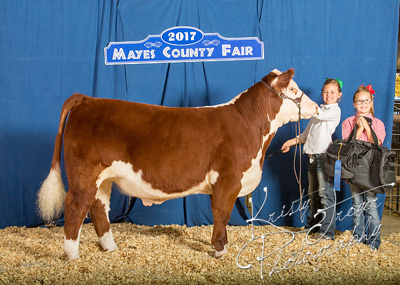 MAYES_COUNTY_FAIR_BACKDROP_©KTROYER-8367