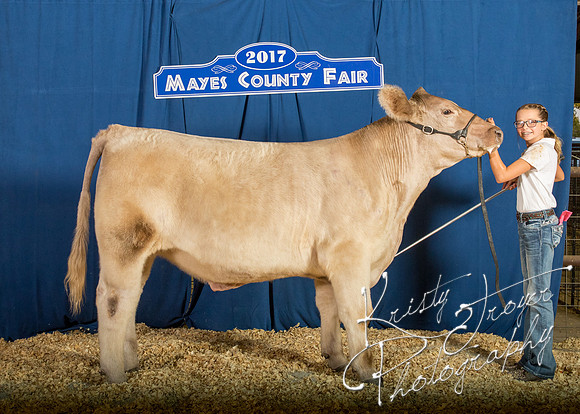 MAYES_COUNTY_FAIR_BACKDROP_©KTROYER-8392