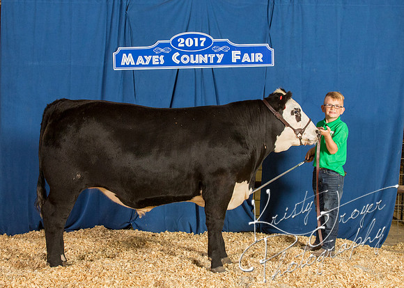 MAYES_COUNTY_FAIR_BACKDROP_©KTROYER-8418