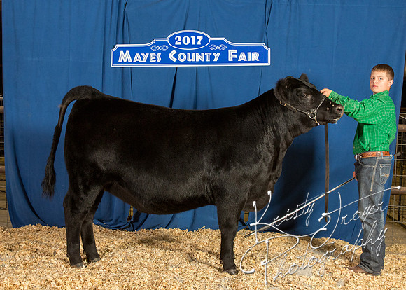 MAYES_COUNTY_FAIR_BACKDROP_©KTROYER-8443