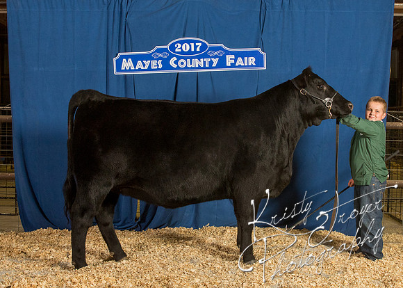 MAYES_COUNTY_FAIR_BACKDROP_©KTROYER-8447