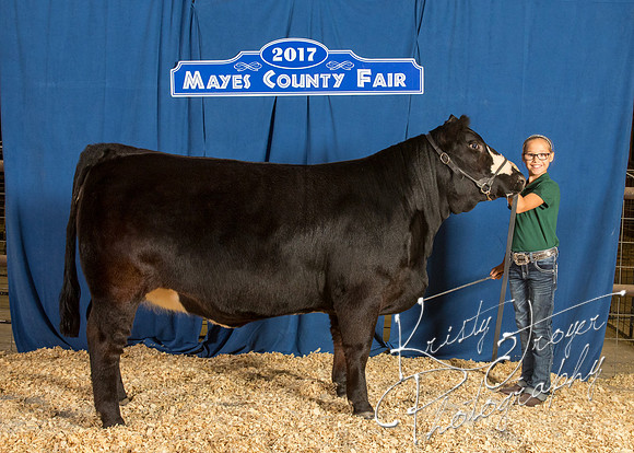 MAYES_COUNTY_FAIR_BACKDROP_©KTROYER-8468
