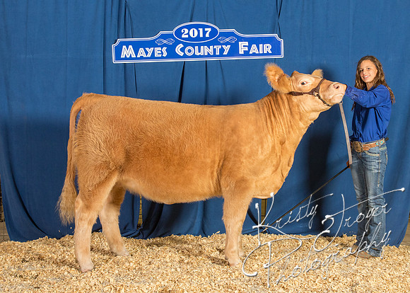 MAYES_COUNTY_FAIR_BACKDROP_©KTROYER-8484