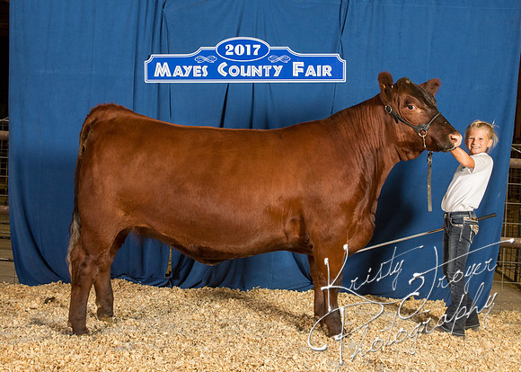 MAYES_COUNTY_FAIR_BACKDROP_©KTROYER-8515