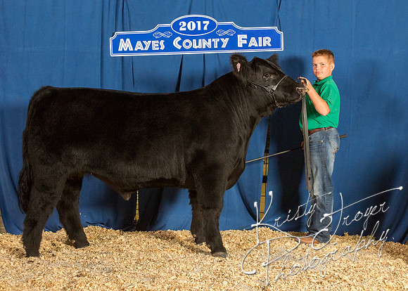 MAYES_COUNTY_FAIR_BACKDROP_©KTROYER-8536