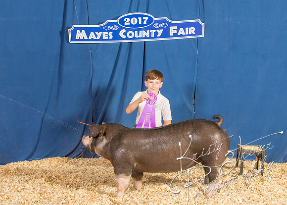 MAYES_COUNTY_FAIR_BACKDROP_©KTROYER-8603